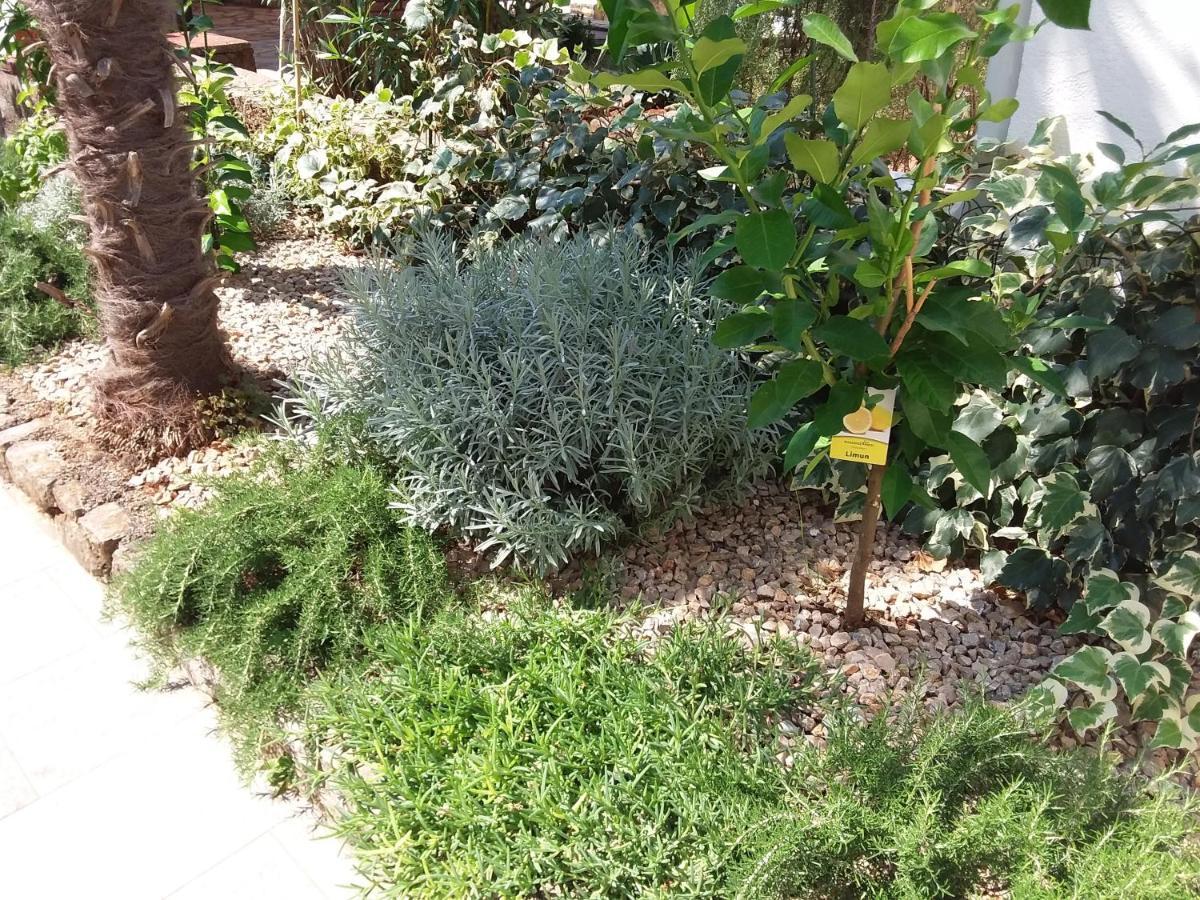 Apartment And Charming New In Vantacici